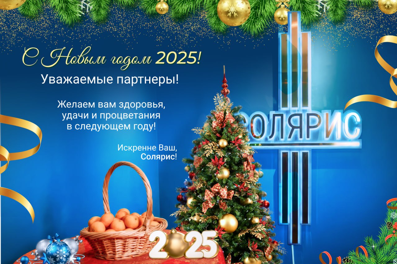 С Новым 2025 годом! С Новым 2025 годом!